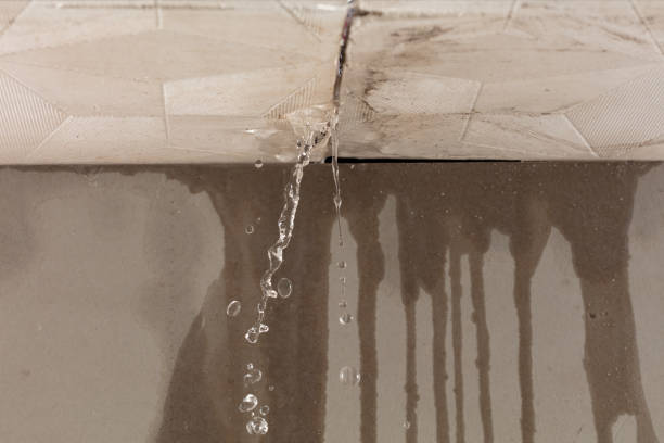 Professional Water Damage Restoration technician working in Ellison Bay, WI